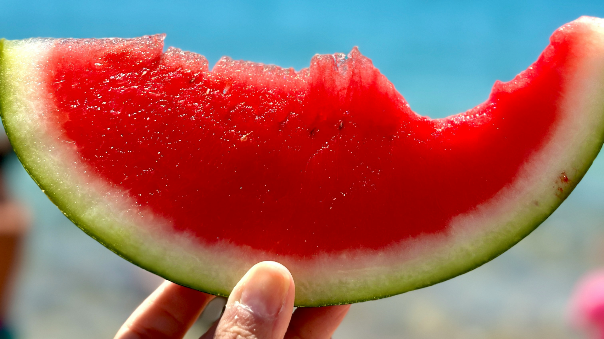Mangiare bene d’estate, senza complicazioni: le guide nutrizionali estive